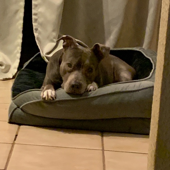 Meet Your Posher Anik - Picture 5 of 8